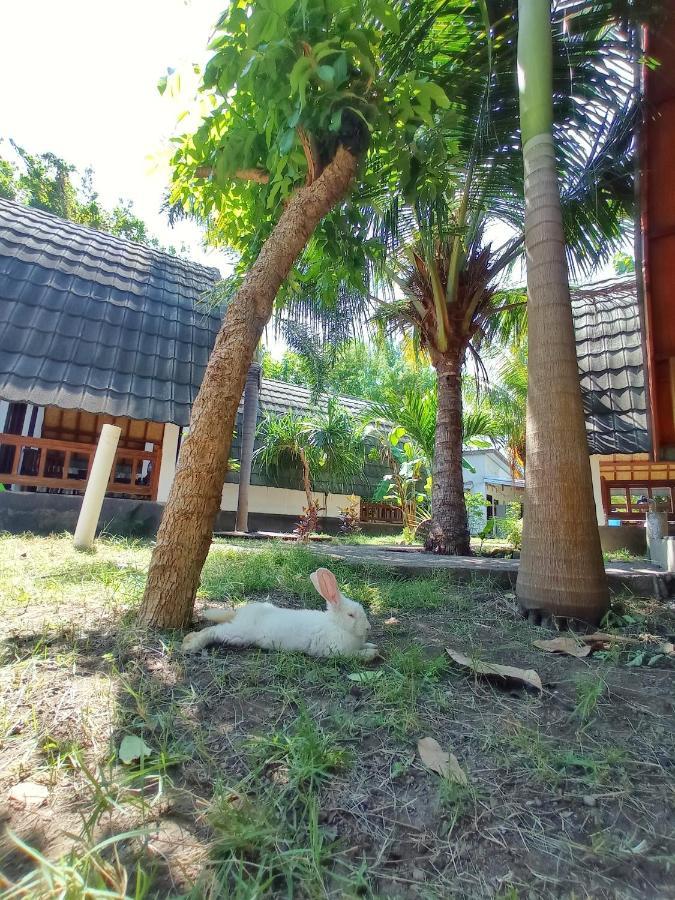 Follow The Rabbit Bungalow Gili Air Buitenkant foto