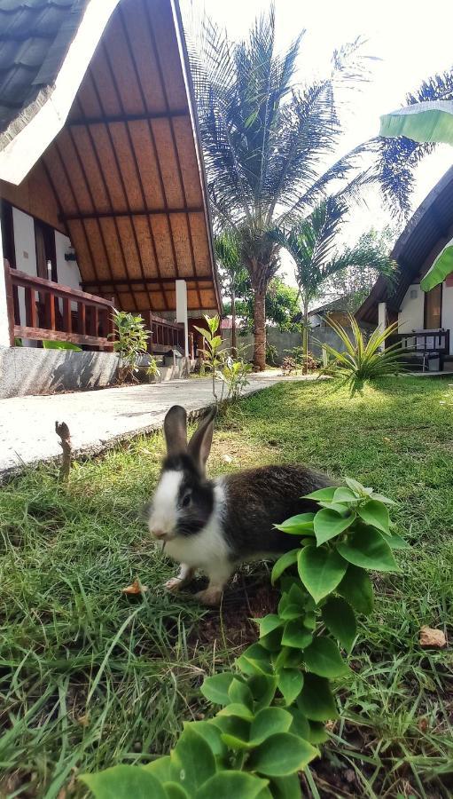 Follow The Rabbit Bungalow Gili Air Buitenkant foto