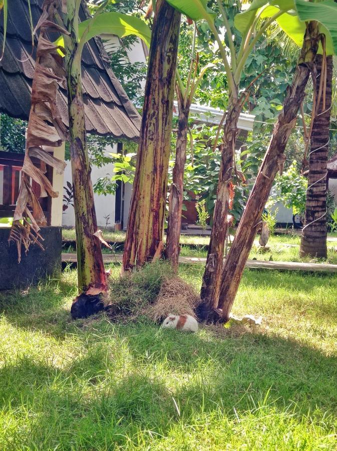 Follow The Rabbit Bungalow Gili Air Buitenkant foto