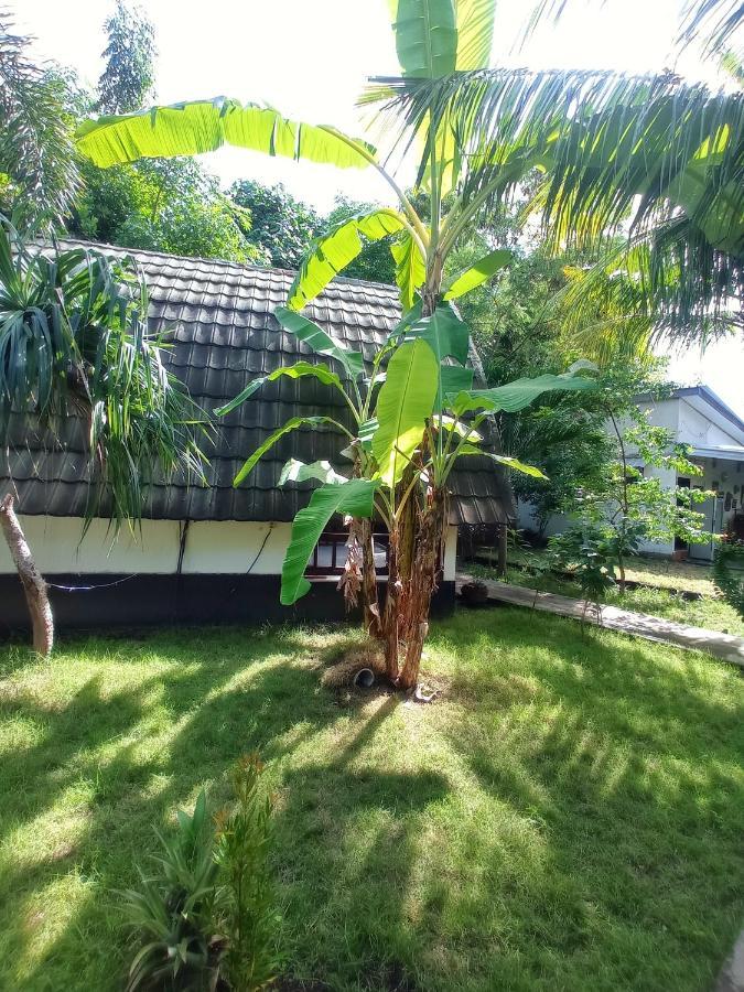 Follow The Rabbit Bungalow Gili Air Buitenkant foto